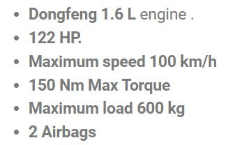 FORTHING M5 Cargo Van Gas