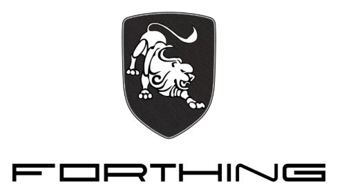 FORTHING M5 EV Cargo Van