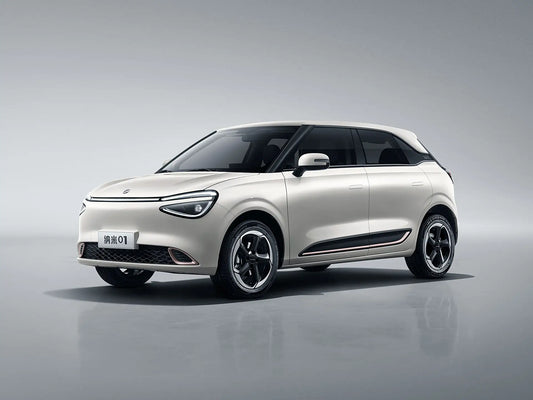 NAMMI Plus 268 Mile Range