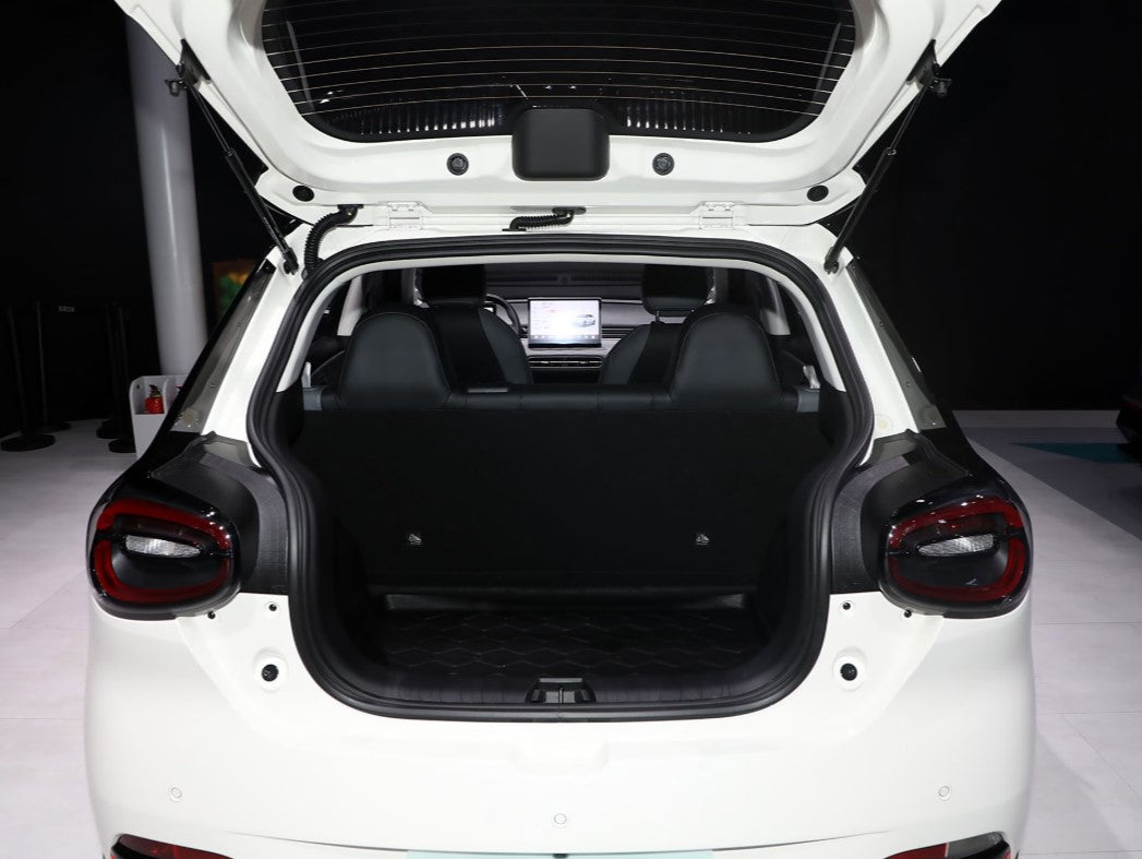 NAMMI Plus 268 Mile Range