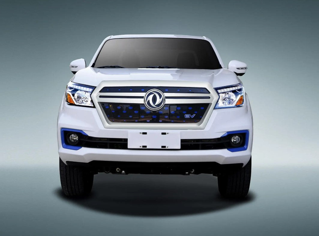 Rich 6 EV. 218 Mile Range