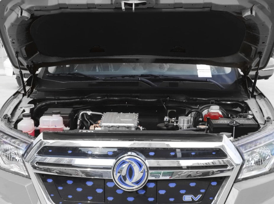 Rich 6 EV. 218 Mile Range