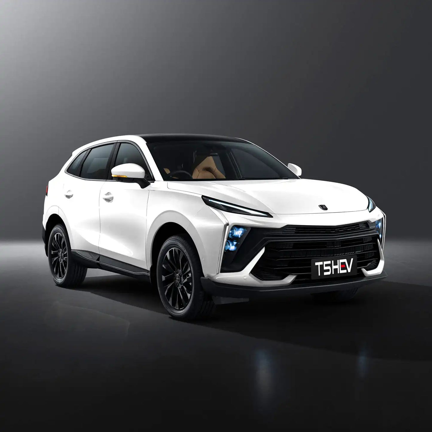 FORTHING T5 HEV HYBRID