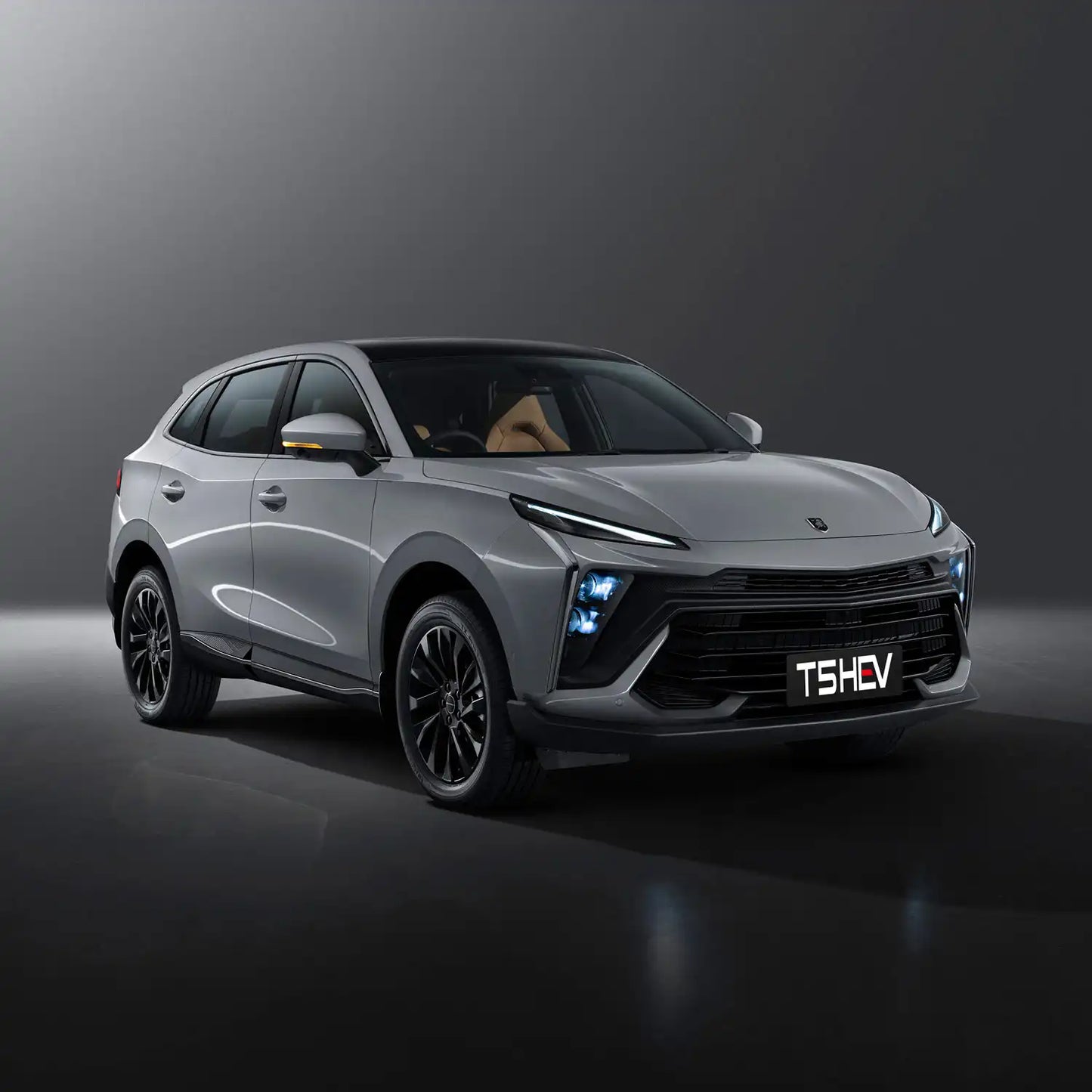 FORTHING T5 HEV HYBRID