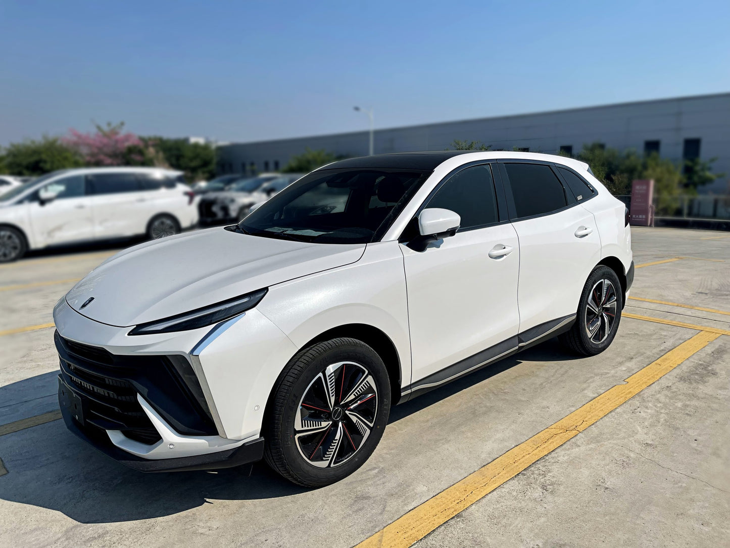 FORTHING T5 HEV HYBRID