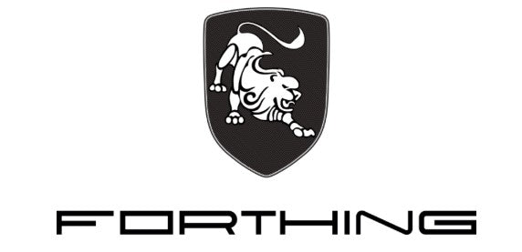 FORTHING T5 EVO HURRICANE –  EXCLUSIVE VERSION | 8 Airbags