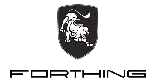 FORTHING T5 HEV HYBRID