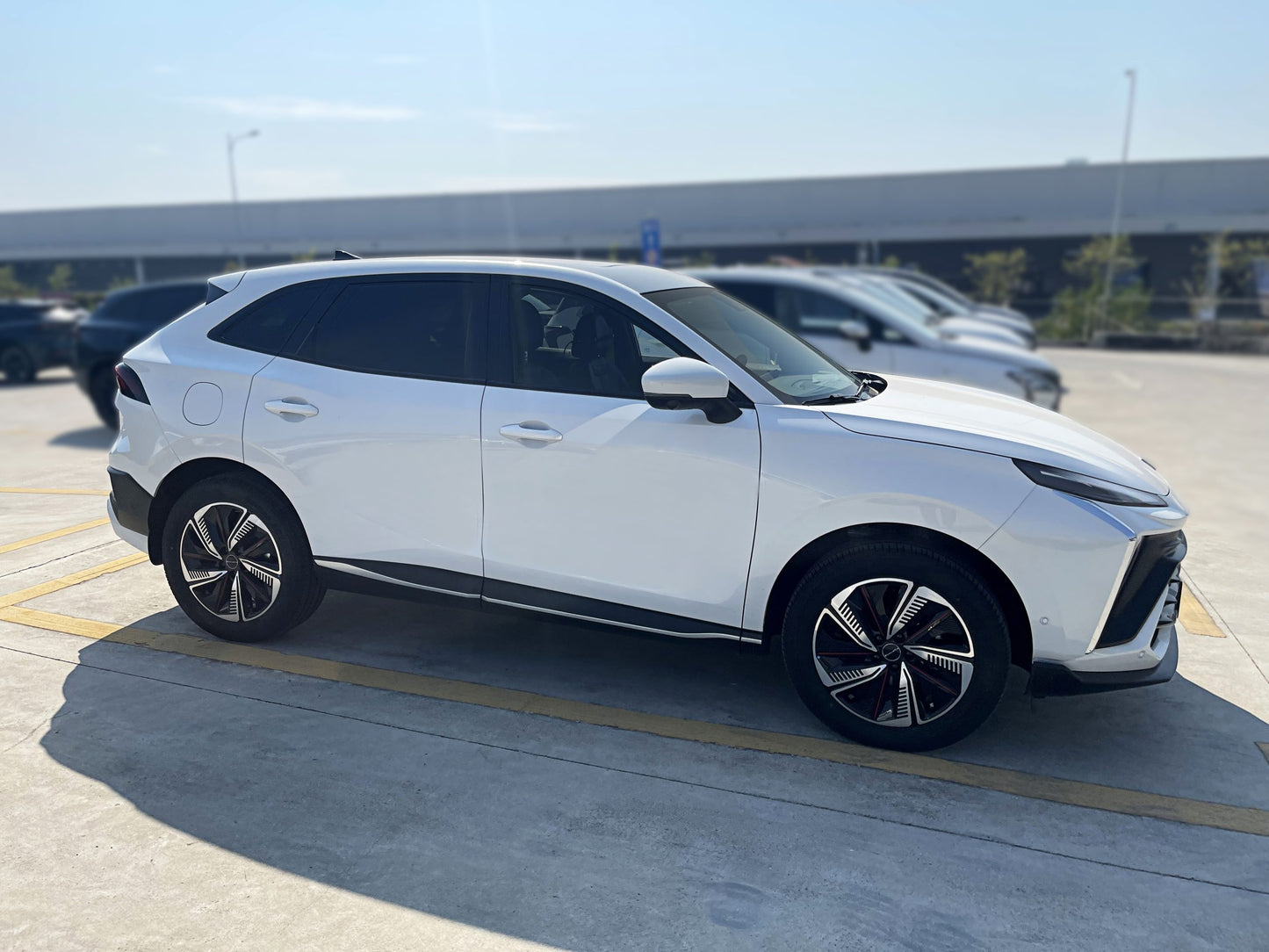 FORTHING T5 HEV HYBRID