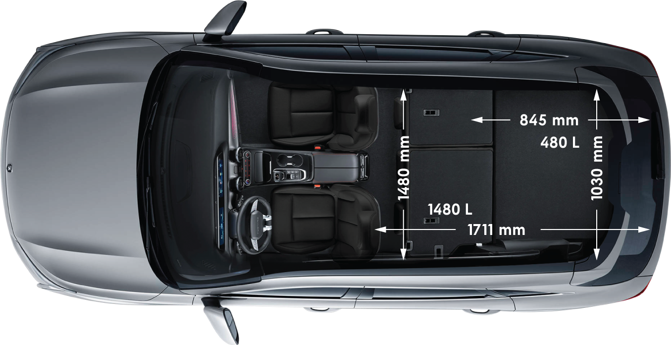 FORTHING T5 HEV HYBRID