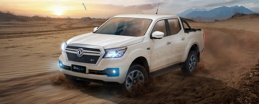 Rich 6 EV. 218 Mile Range